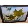 Image 1 : LARGE FRAMED PRINT