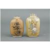 Image 2 : 2 PC Chinese Inner Painting Snuff Bottle