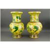 Image 1 : Pair 20th.C Chinese Porcelain Vase Kangxi Mark