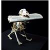 Image 1 : PROPERTY from a private belgian collector MAURIZIO CATTELAN (b. 1960) UNTITLED dog skeleton and L...