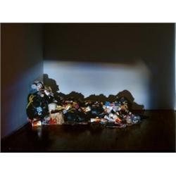 PROPERTY from a private collection TIM NOBLE AND SUE WEBSTER (b. 1966 and 1967) WASTED YOUTH misc...