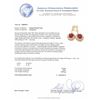 Image 3 : 14KT Yellow Gold 15.16ctw Ruby and Diamond Earrings