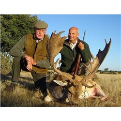 Spain "Hunter's Choice" -- Trophy Red Deer, Fallow Deer or Mouflon Sheep