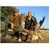 Image 1 : Spain "Hunter's Choice" -- Trophy Red Deer, Fallow Deer or Mouflon Sheep