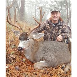 5-Day Oregon Columbia Blacktail Deer & Coastal Black Bear Combo Hunt for (1) Hunter