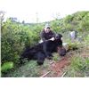 Image 4 : 5-Day Oregon Columbia Blacktail Deer & Coastal Black Bear Combo Hunt for (1) Hunter