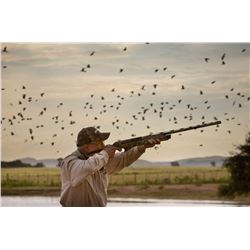 3-Day Cordoba Argentina Dove Shooting Trip for (1) Hunter