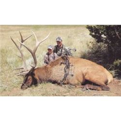 6-Day New Mexico Private Land Bull Elk Archery Hunt for (1) Hunter