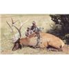 Image 1 : 6-Day New Mexico Private Land Bull Elk Archery Hunt for (1) Hunter