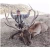 Image 1 : 5-Day New Mexico Private Land Bull Elk Rifle Hunt for (1) Hunter