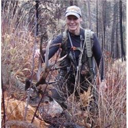 5-Day Idaho Wilderness Horseback Mule Deer Hunt for (1) Hunter