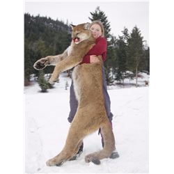 British Columbia - $5,000 Hunt Credit Towards Mt. Goat, California Bighorn Sheep, Moose, or Mt. Lion