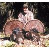 Image 1 : 3-Day Florida Osceola Turkey Hunt for (1) Hunter & (1) Non-Hunter