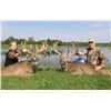 Image 2 : 3-Day Ohio Trophy Whitetail Deer Hunt for (2) Hunters