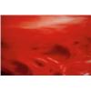 Image 1 : ANDRES SERRANO (b. 1950) Blood Scape V signed, numbered of ten and dated "Andres Serrano 1989" on...