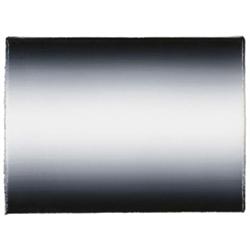 GERHARD RICHTER (b. 1932) BLECH 681-29 signed and dated "Richter 1988" on the reverse oil on canv...