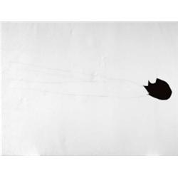 Property from a Private Collector VANESSA BEECROFT (b. 1969) DISEGNO acrylic and graphite on canv...