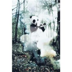 ABIGAIL LANE (b. 1967) THE INSPIRATOR Iris print 30 x 22 in. ( 76.2 x 55.9 cm) executed in 2000 t...