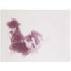 Image 1 : TRACEY MOFFATT (b. 1960) GUAPA signed, numbered of 20 and dated "T. Moffatt '95" lower right blac...