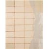 Image 1 : JAMES BROWN (1951-1991) STABAT MATER NO. 35 dispersion on linen 353/8 x 271/2 in. (89.9 x 69.9 cm...