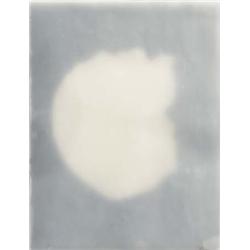 JOSÉ MARIA SICILIA (b. 1954) UNTITLED pigment on paper encased in wax in five parts dimensions ra...