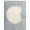 Image 1 : JOSÉ MARIA SICILIA (b. 1954) UNTITLED pigment on paper encased in wax in five parts dimensions ra...