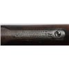Image 11 : Winchester Model 1895 SRC Serial no. 99821