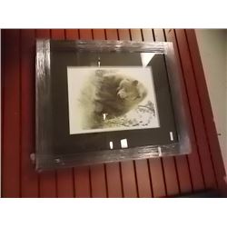 FRAMED LIMITED EDITION PRINT - GRIZZLY IN THE CHOKE CHERRIES - AMY BRACKENBURY - ESTIMATED GALLERY P