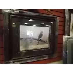 LIMITED EDITION PRINT - NATURAL BEAUTY - RUSSELL COBANE - GALLERY ESTIMATE - $475