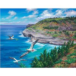 East Cove Boobies - KAI Show, Patrick Ching 2017