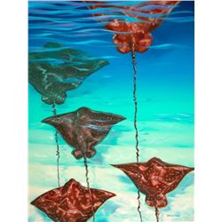 Flying On The Edge - KAI Show, Patrick Ching