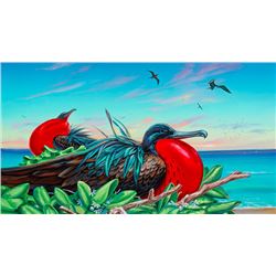 Iwa Roost - KAI Show, Patrick Ching 2017