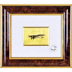 beautiful frame picture of ford aircraft