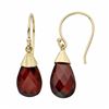 Image 1 : Garnet 14k Gold Teardrop Earrings