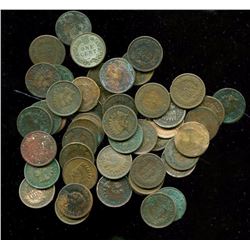 Lot of 50 Indian Head Cents- Mixed