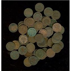 Lot of (50) Indian Head Cents