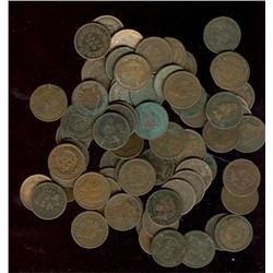 Lot of 50 Indian Head Cents Mixed Dates