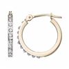 Image 1 : Diamond 10k Gold Hoop Earrings
