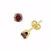 Image 1 : 14k Gold 1/4-ct. T.W. Red Diamond Stud Earrings