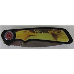 Stainless steel blade folding pocket knife
