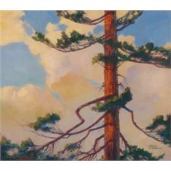 Charles Oglesby Longabaugh (1885-1944), American, PINE AGAINST CLOUDY SKY, Oil on canvas on boa...