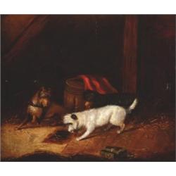 George (Smith) Armfield, (1808-1893), British, TERRIERS RATTING, Oil on canvas; signed lower...