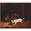 Image 1 : George (Smith) Armfield, (1808-1893), British, TERRIERS RATTING, Oil on canvas; signed lower...