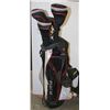 Image 1 : PLUS10 GOLF CLUBS