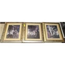 SET OF THREE MATTED FRAMED PRINTS INCL B.BROWN