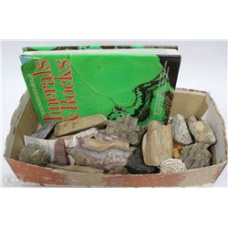 LOT OF MINERAL AND ASSORTED STONES WITH BOOK
