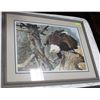 Image 1 : CARL BRENDERS FRAMED MATTED AMERICAN EAGLE