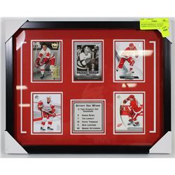 DETROIT REDWINGS  HOCKEY CARDS COLLECTION FRAMED