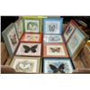 Image 1 : COLLECTION OF FRAMED BUTTERFLIES