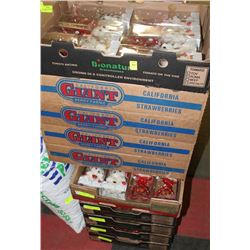 10 FLATS OF VALENTINES BEARS